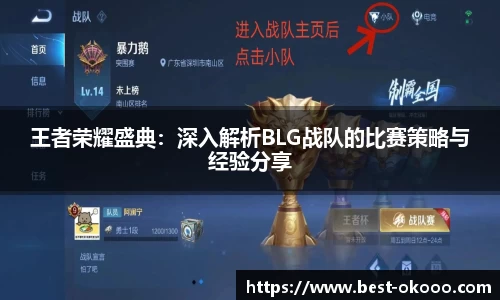 王者荣耀盛典：深入解析BLG战队的比赛策略与经验分享